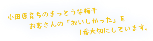 小田原育ちのまっとうな梅干 お客さんの「おいしかった」を1番大切にしています。